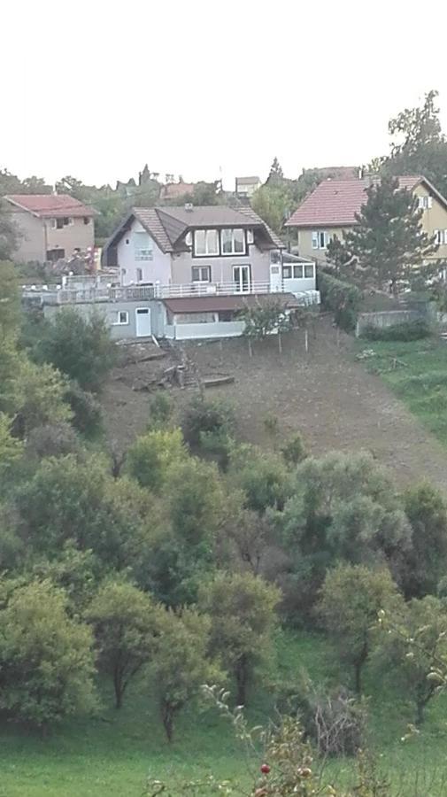 Panorama Apartman Molvice Buitenkant foto